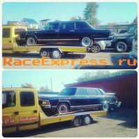 Чайка на эвакуаторе